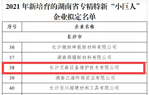 長沙艾森圖2.jpg