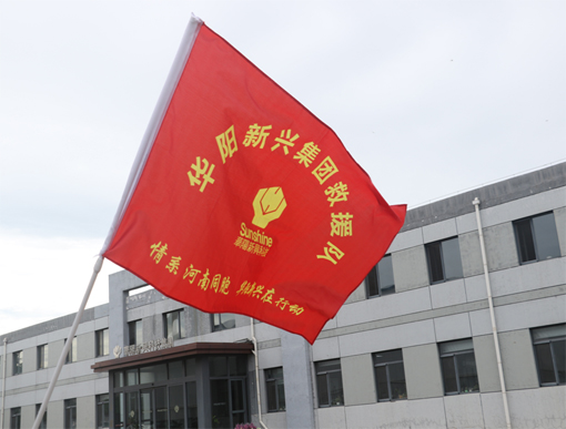 華陽新興科技集團(tuán)有限公司.jpg 華陽新興科技集團(tuán)有限公司.jpg