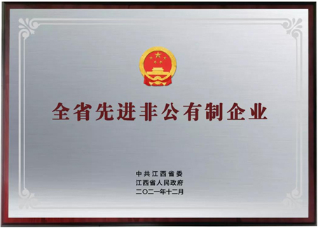 江西瑞思博-先進非公有制企業1縮小.jpg